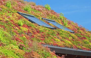Killinchy living roof systems