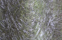 Killinchy fibreglass roof work